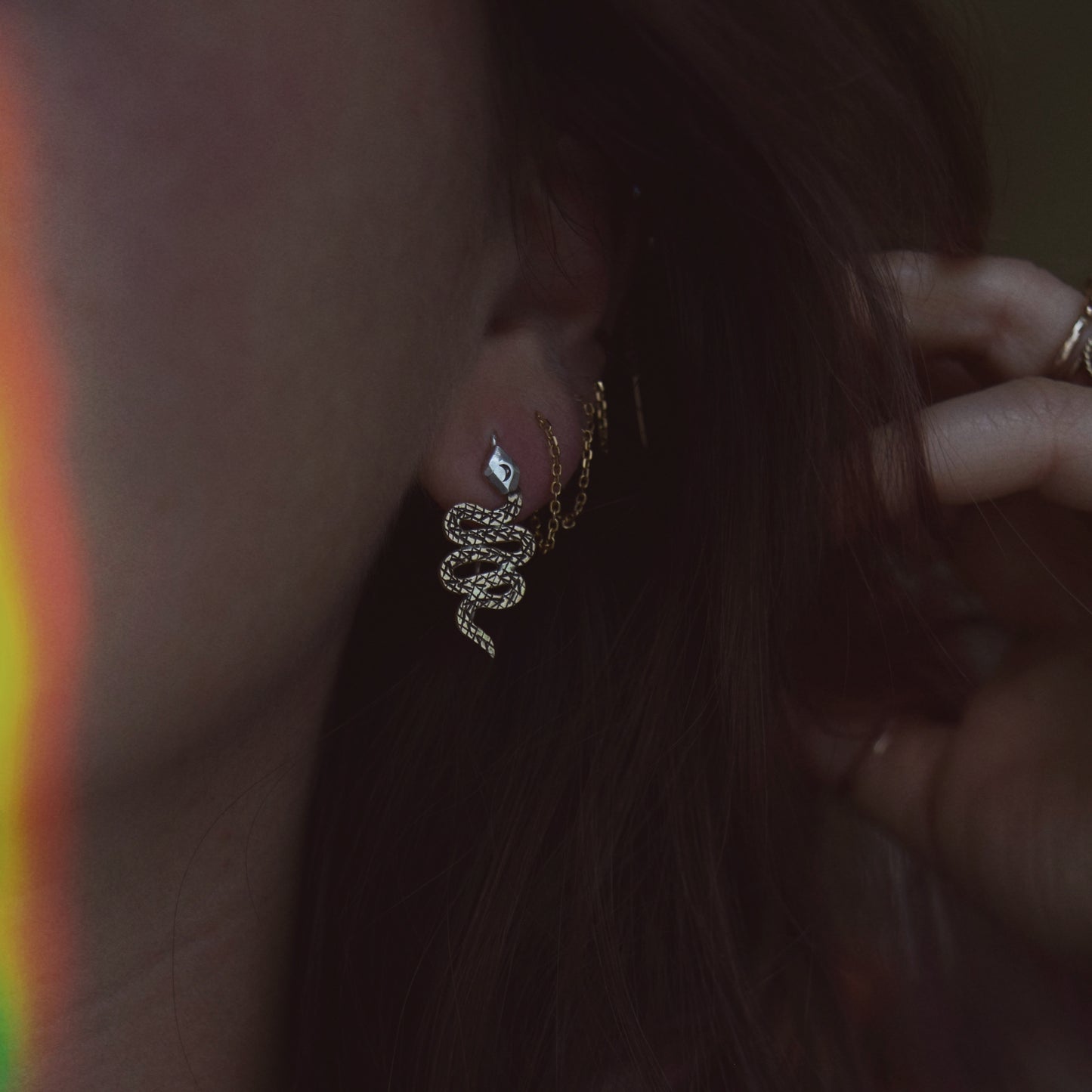 Serpent Earrings with Gold Fill